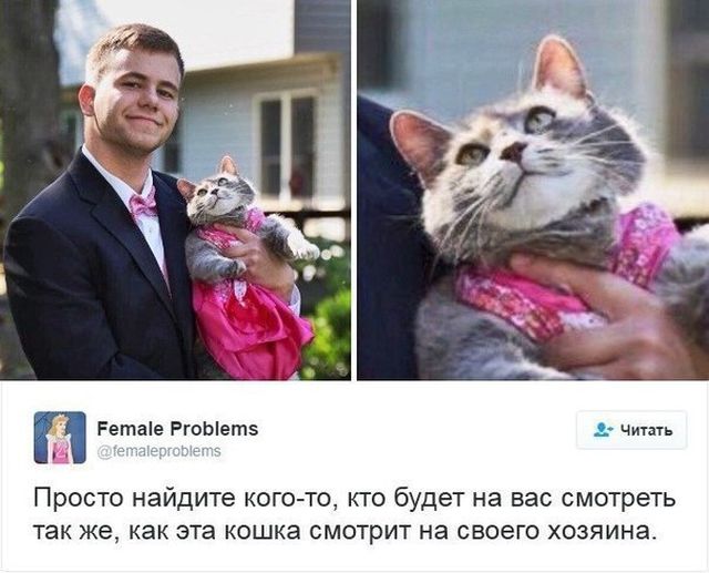 Прикольные картинки