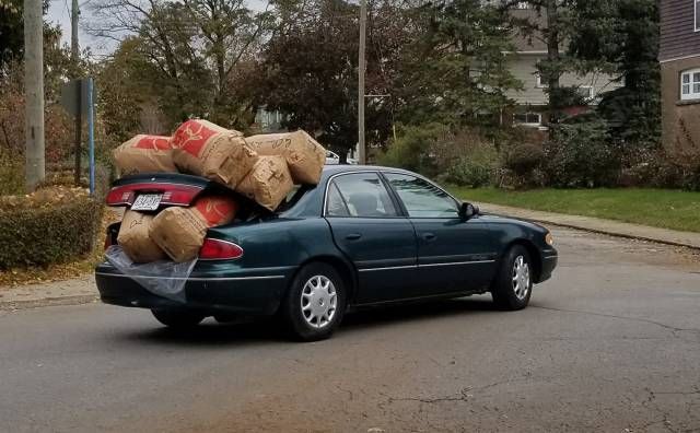 Прикольные картинки