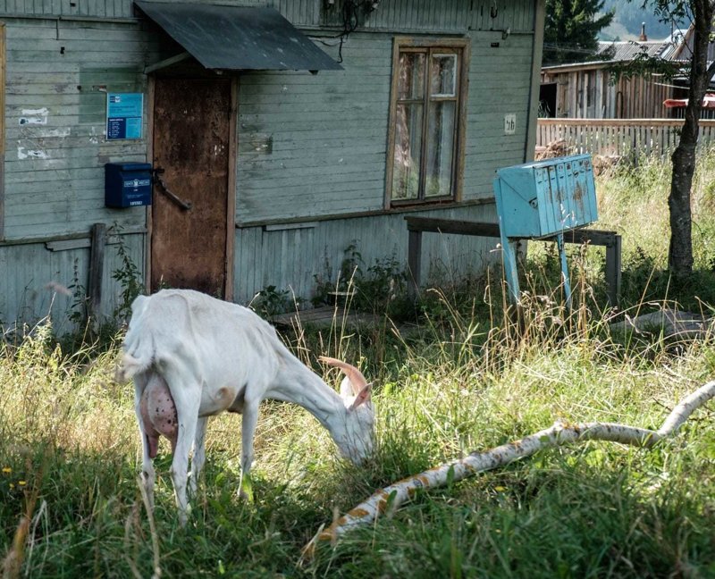 Самые эксцентричные отделения Почты России