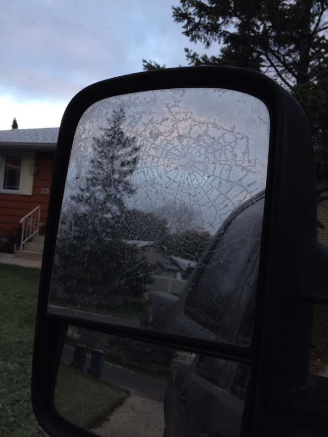 25 фотографий, доказывающих, что зима — это не только снежинки-мандаринки, но и лютый мороз