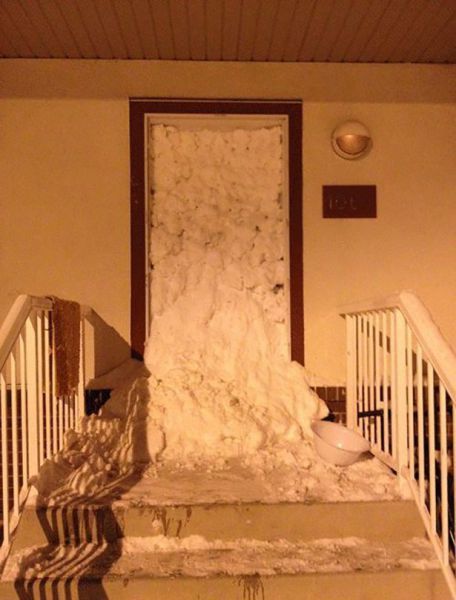 Прикольные картинки (72 фото)