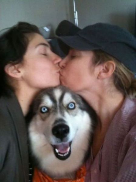 Прикольные картинки (72 фото)