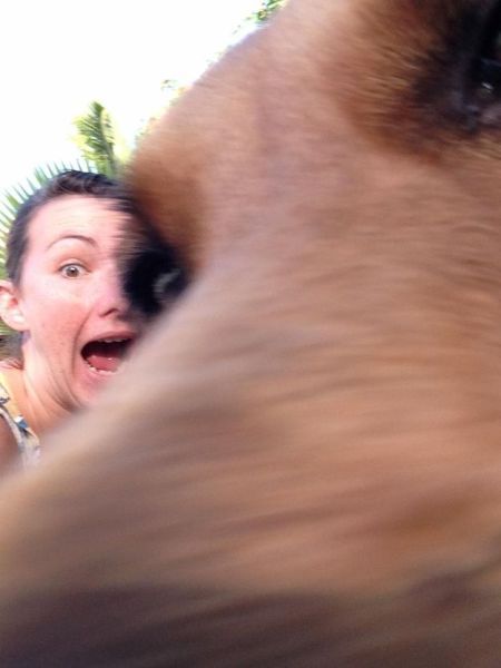 Прикольные картинки (72 фото)