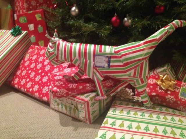 Прикольные картинки (72 фото)