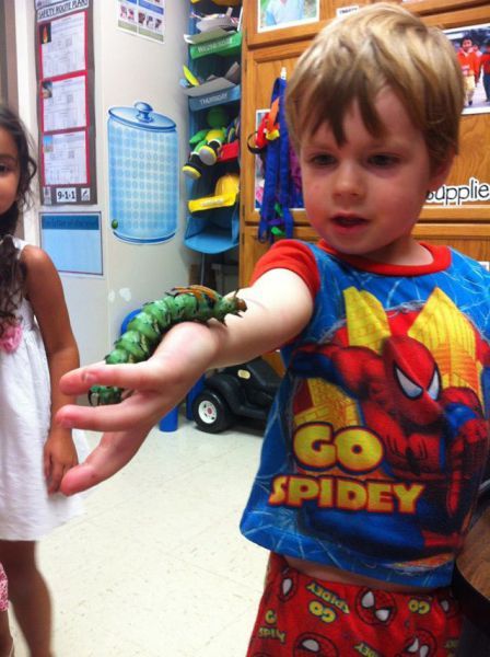 Прикольные картинки (72 фото)