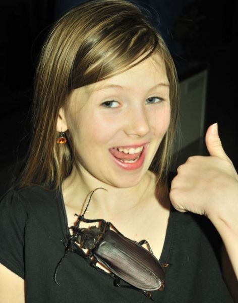 Прикольные картинки (72 фото)