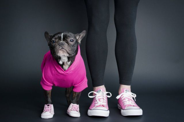 Прикольные картинки (72 фото)