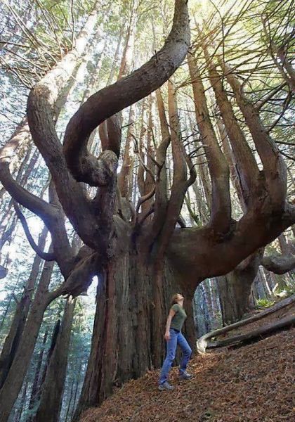 Прикольные картинки (72 фото)