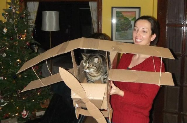 Прикольные картинки (72 фото)