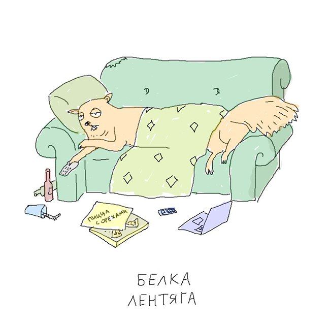 Прикольные картинки (72 фото)