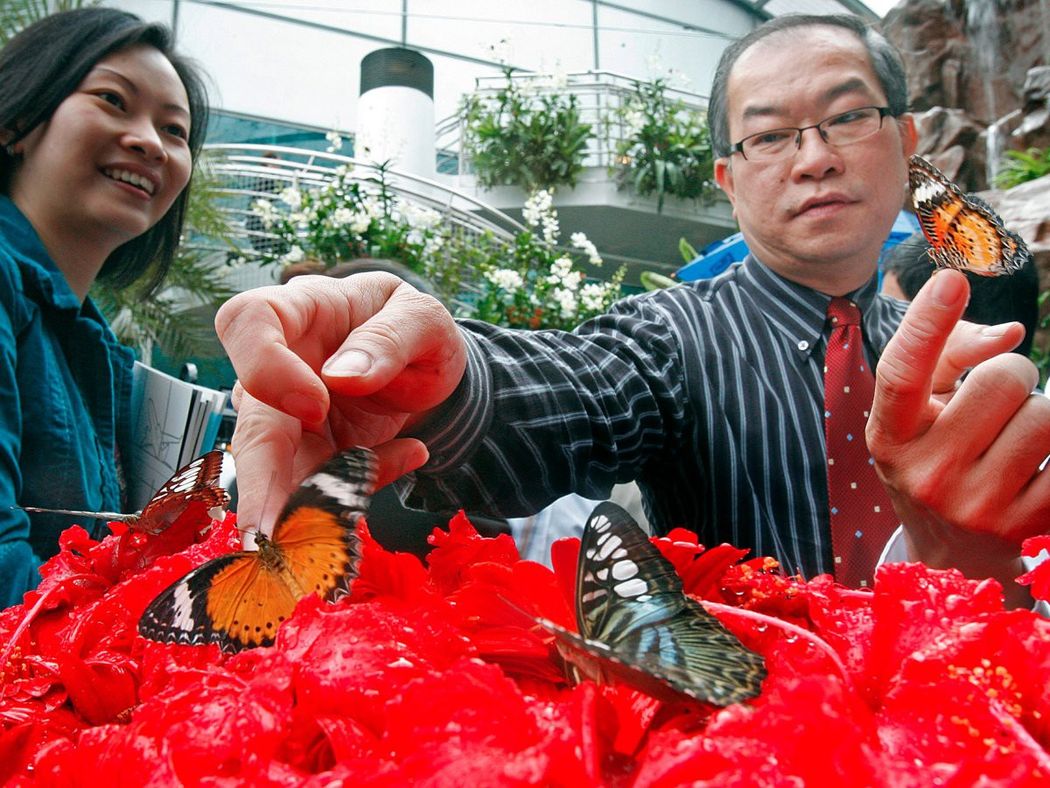 Где находится лучший аэропорт в мире?