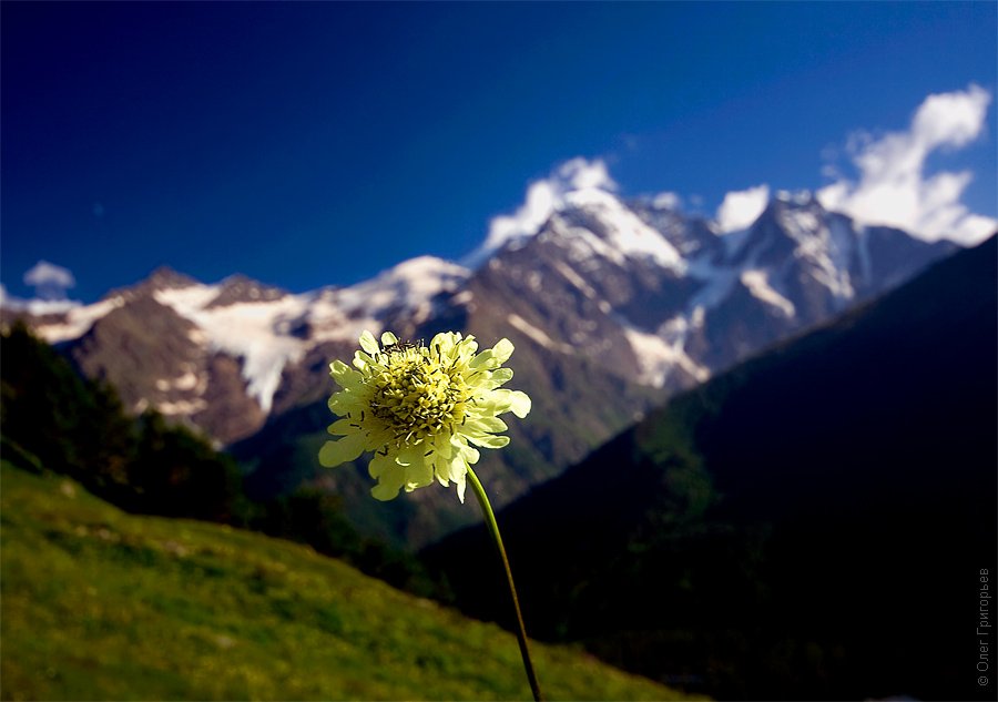 Восхождение на Эльбрус