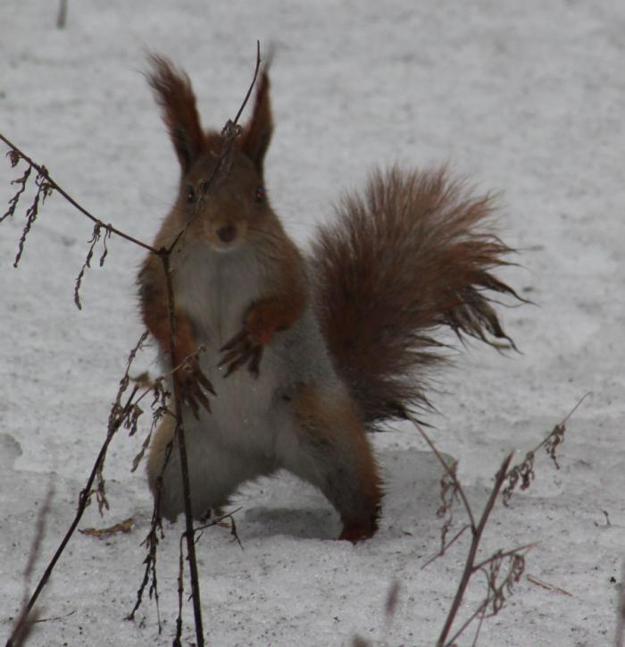 Прикольные картинки