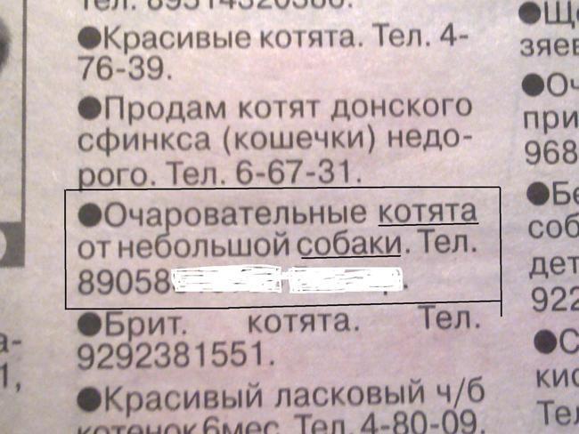 Прикольные картинки