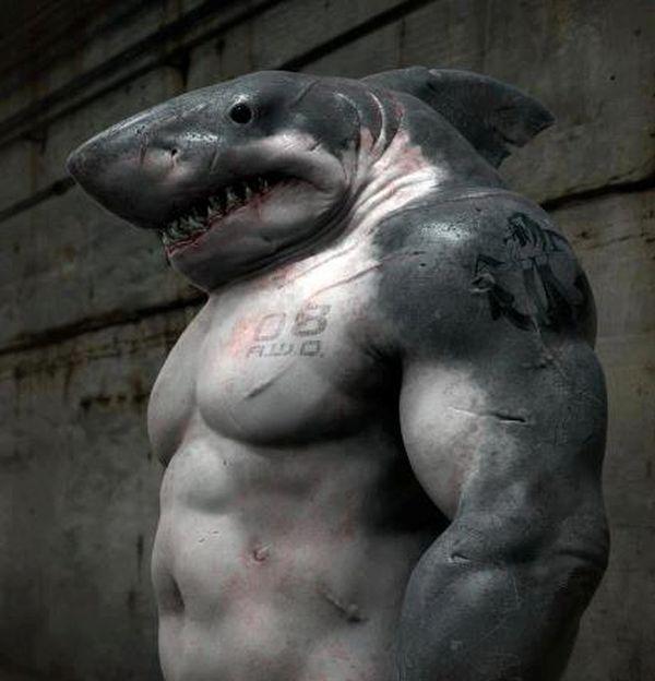 Прикольные картинки