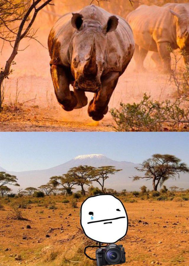 Прикольные картинки