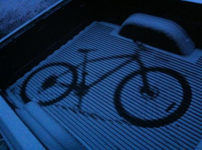 Прикольные картинки