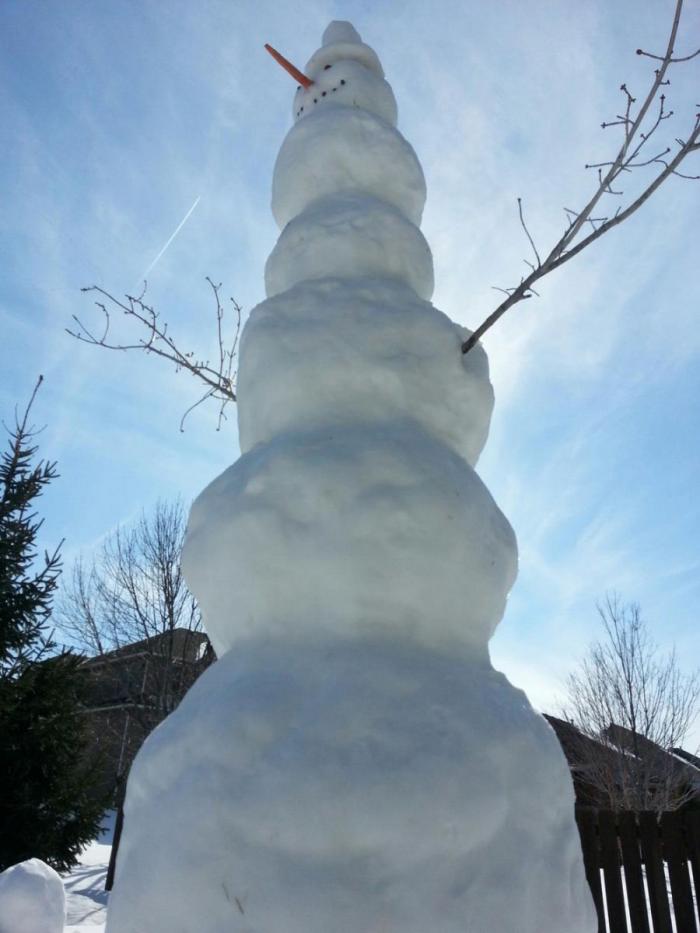 Прикольные картинки