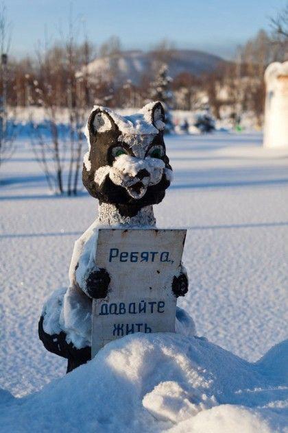 Прикольные картинки