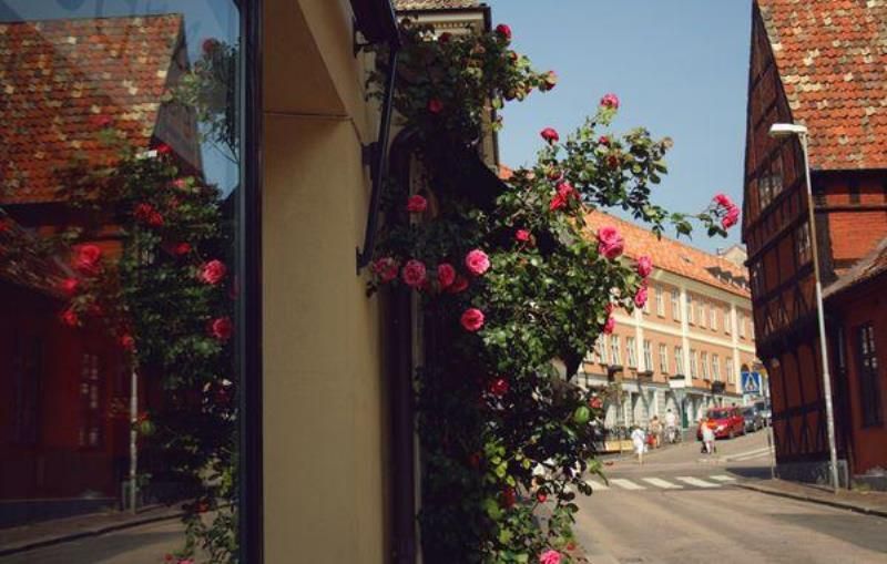 Как живут иммигранты в Швеции (33 фото)