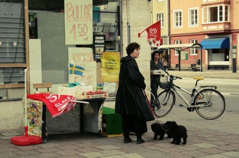 Как живут иммигранты в Швеции (33 фото)