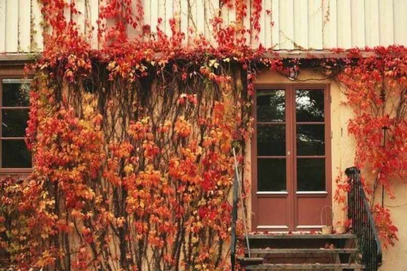 Как живут иммигранты в Швеции (33 фото)