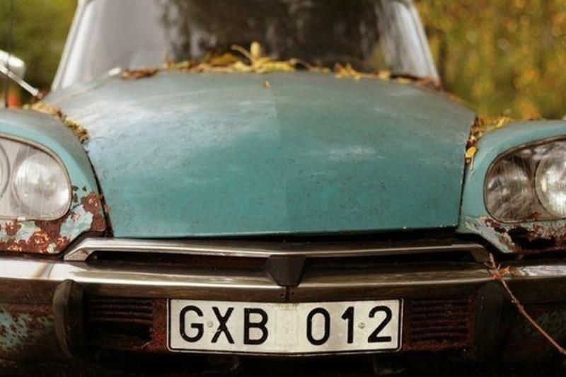 Как живут иммигранты в Швеции (33 фото)