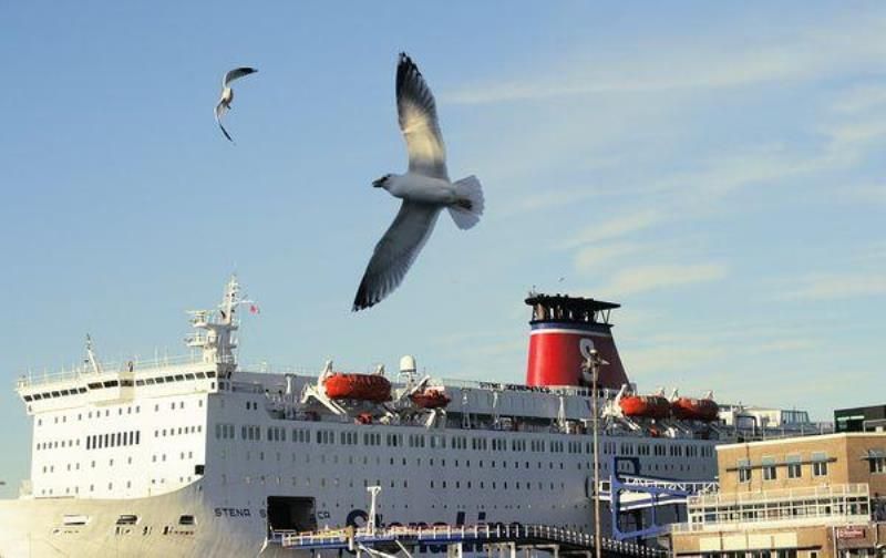 Как живут иммигранты в Швеции (33 фото)