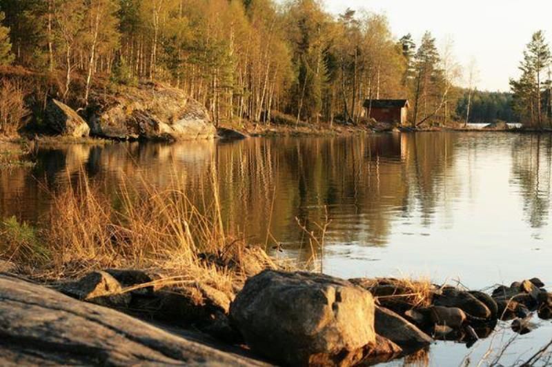 Как живут иммигранты в Швеции (33 фото)