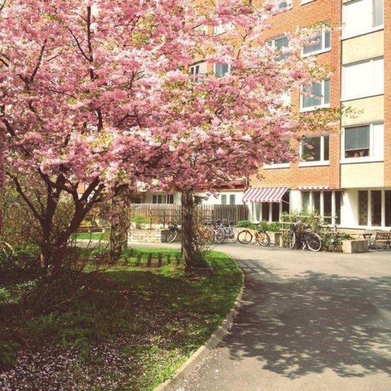 Как живут иммигранты в Швеции (33 фото)