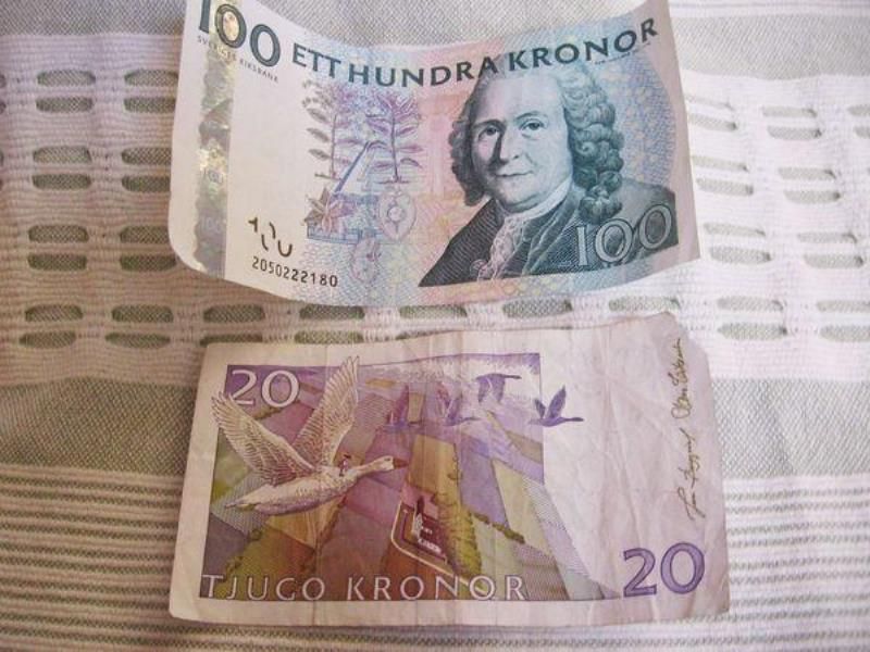 Как живут иммигранты в Швеции (33 фото)