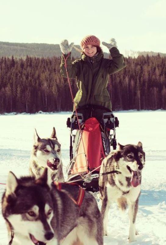 Как живут иммигранты в Швеции (33 фото)