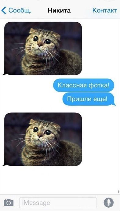 Юмор из соцсетей