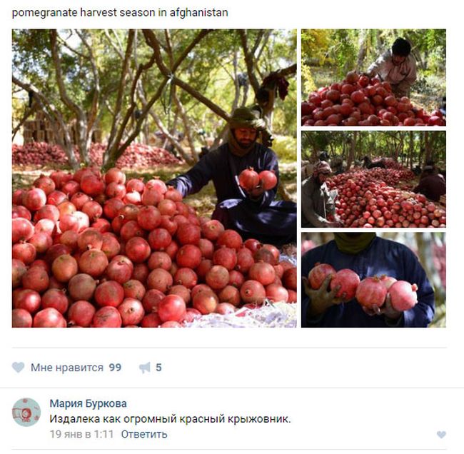 Юмор из соцсетей