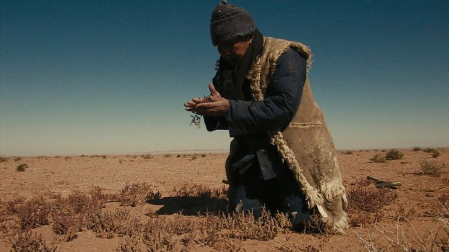 10 случаев глобального голода, приведшего к каннибализму (14 фото)