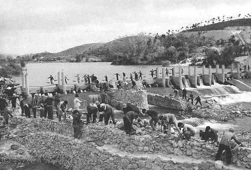 10 случаев глобального голода, приведшего к каннибализму (14 фото)