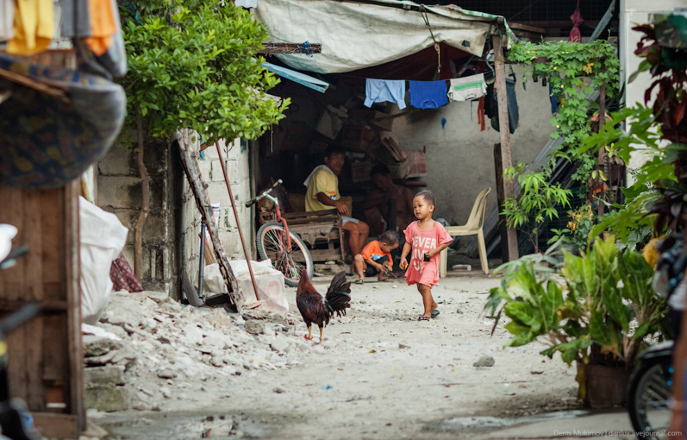 Жизнь в трущобах Жизнь в трущобах