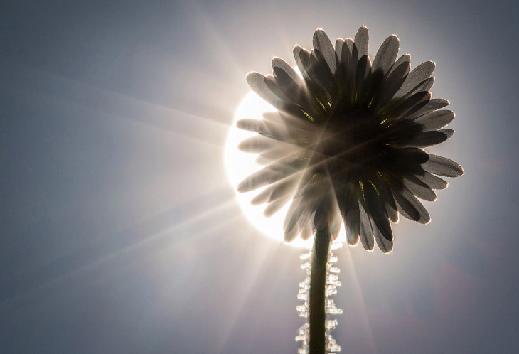 Весна Весна