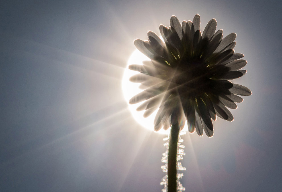 Весна Весна