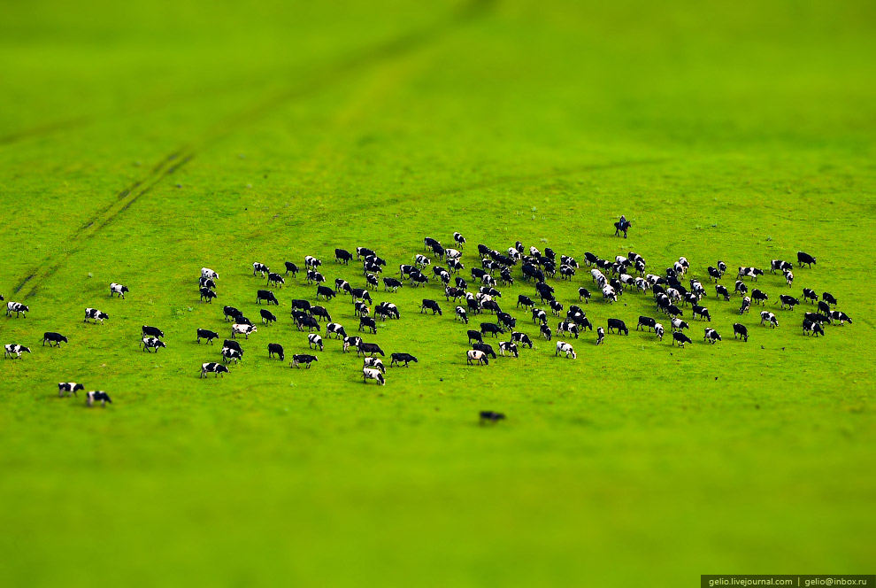 Игрушечная Россия Игрушечная Россия