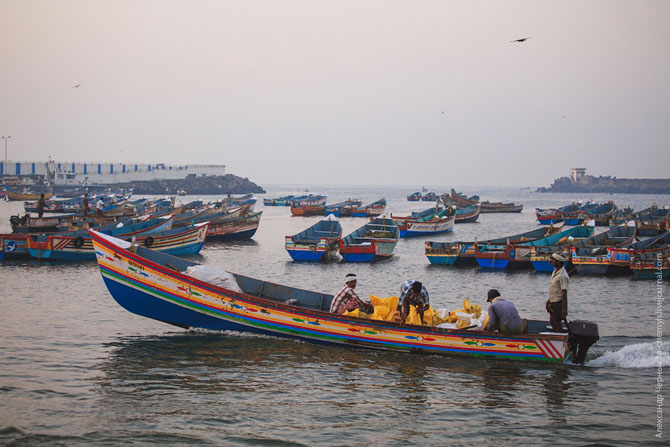 По ту сторону курорта. Морской порт Вижинджам По ту сторону курорта. Морской порт Вижинджам