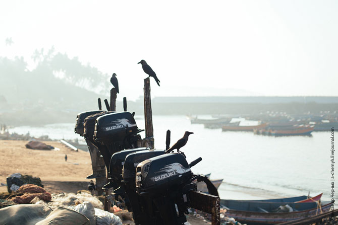 По ту сторону курорта. Морской порт Вижинджам По ту сторону курорта. Морской порт Вижинджам
