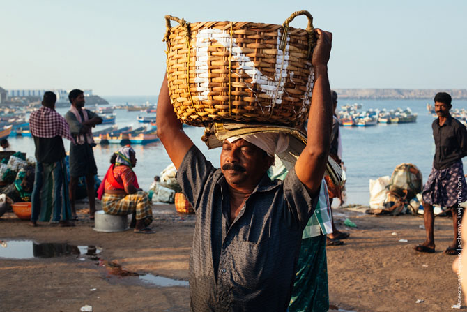 По ту сторону курорта. Морской порт Вижинджам По ту сторону курорта. Морской порт Вижинджам
