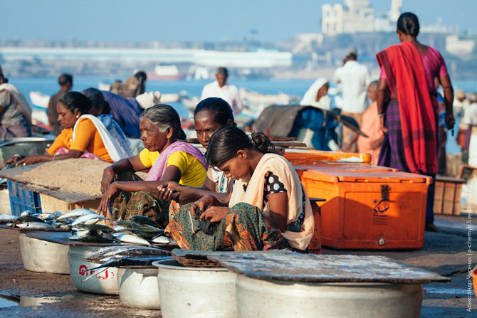 По ту сторону курорта. Морской порт Вижинджам По ту сторону курорта. Морской порт Вижинджам