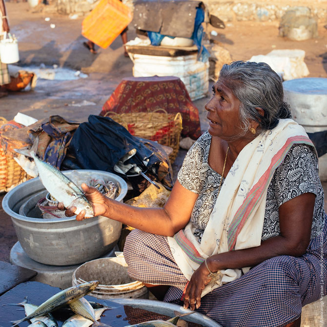По ту сторону курорта. Морской порт Вижинджам По ту сторону курорта. Морской порт Вижинджам