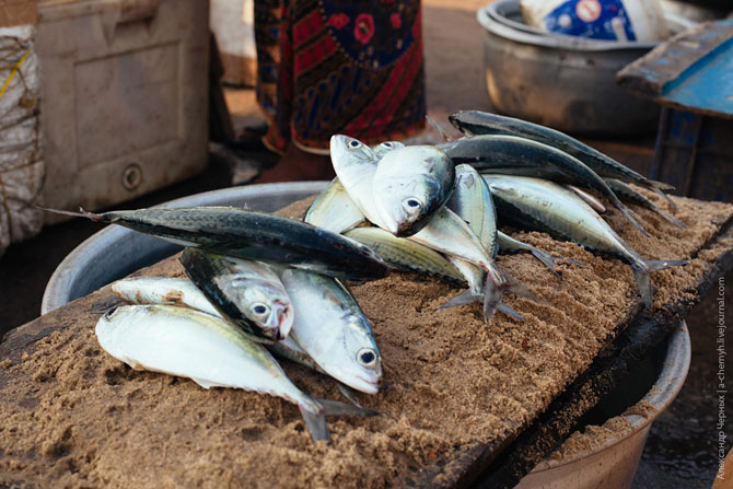 По ту сторону курорта. Морской порт Вижинджам По ту сторону курорта. Морской порт Вижинджам