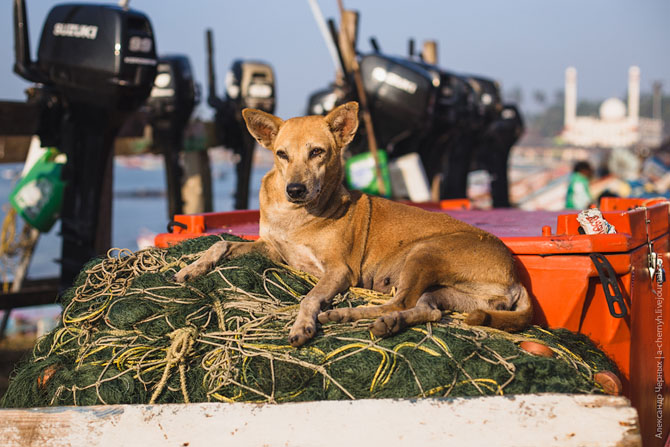 По ту сторону курорта. Морской порт Вижинджам По ту сторону курорта. Морской порт Вижинджам