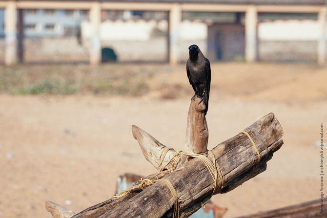 По ту сторону курорта. Морской порт Вижинджам По ту сторону курорта. Морской порт Вижинджам