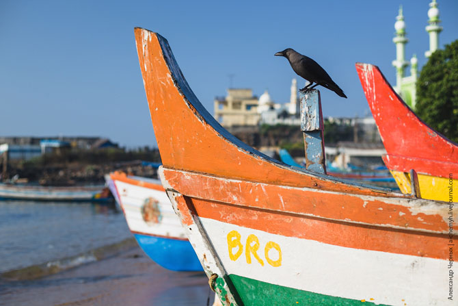 По ту сторону курорта. Морской порт Вижинджам По ту сторону курорта. Морской порт Вижинджам