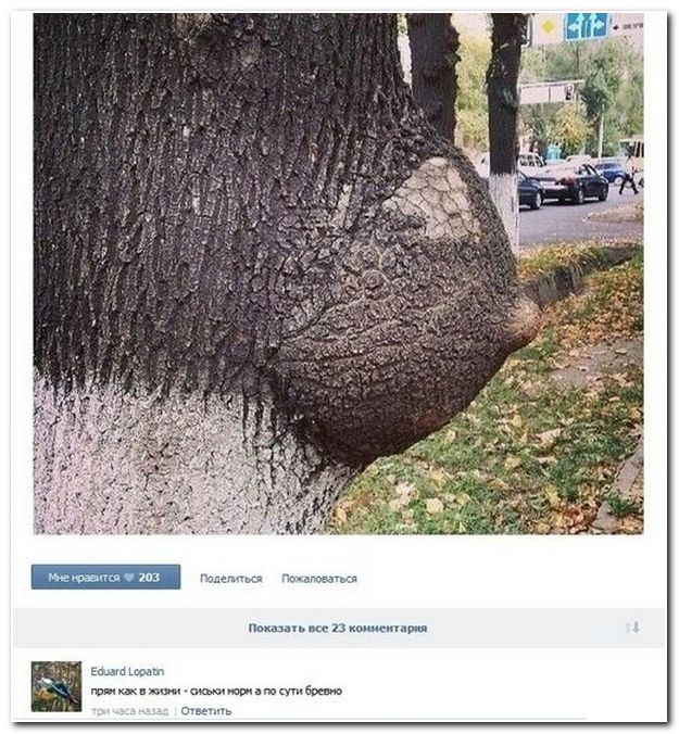 Смешные комментарии из социальных сетей (40 фото)